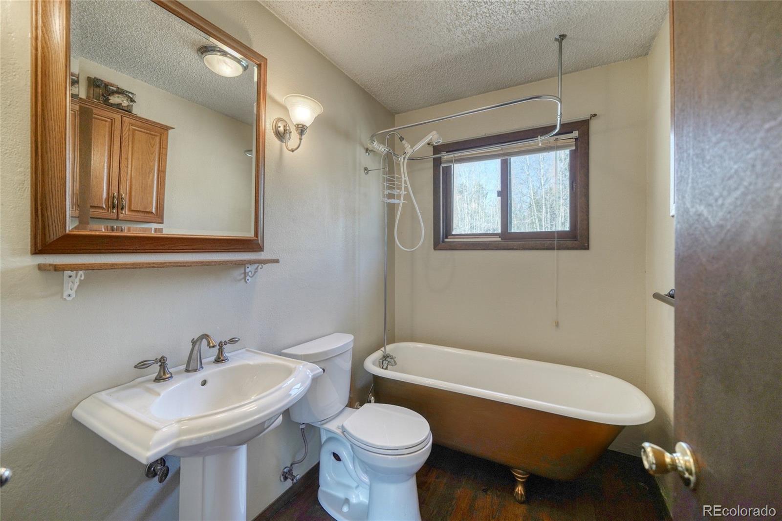 148 Cougar Road Leadville CO 80461