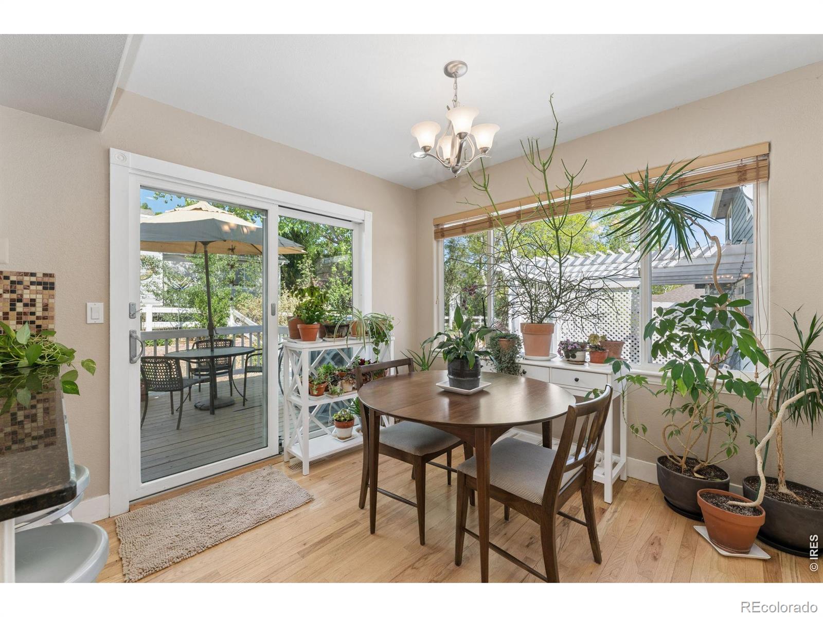 380 Blackstone Circle Loveland CO 80537