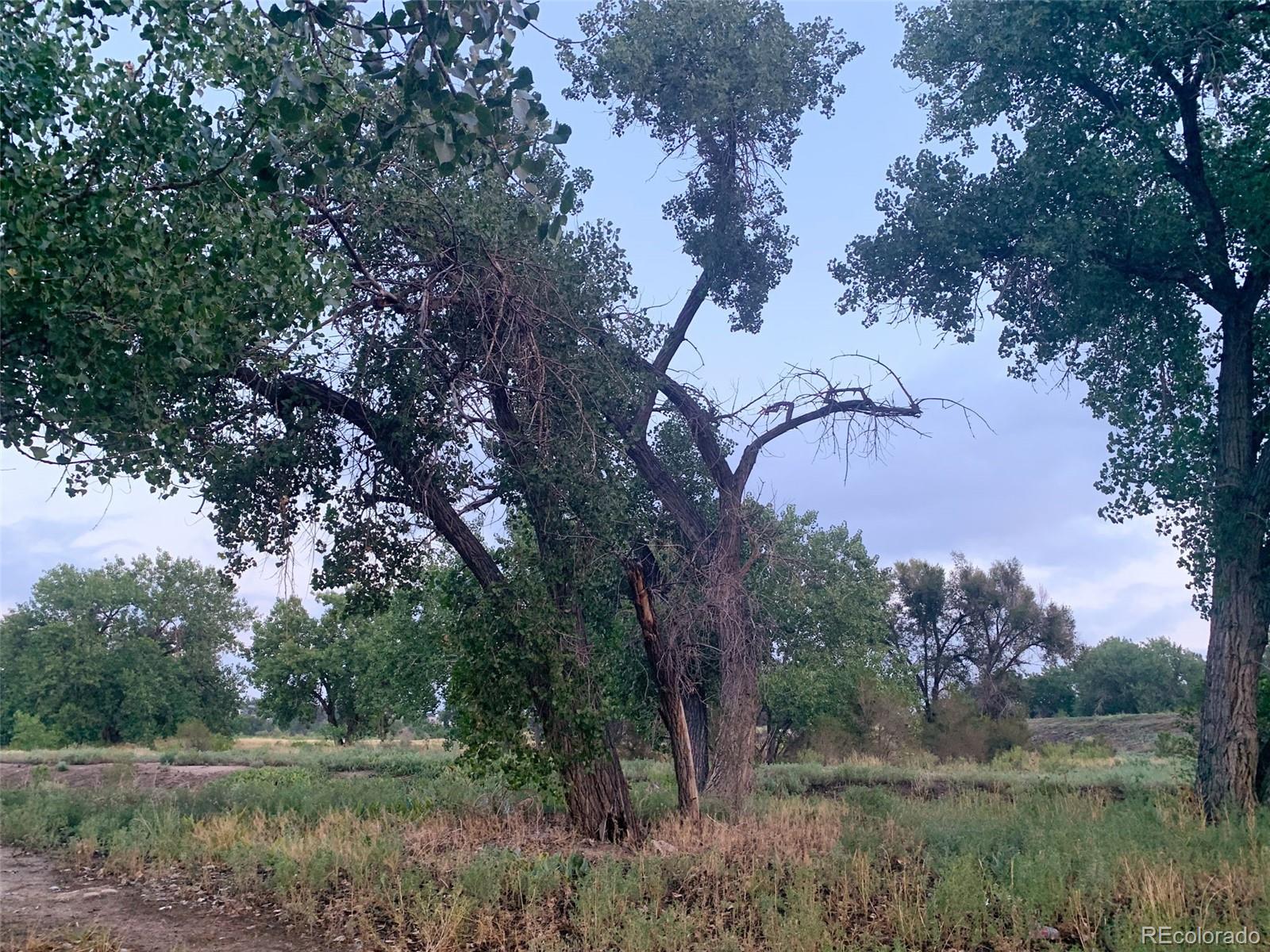 905 Damson Street Pueblo CO 81001