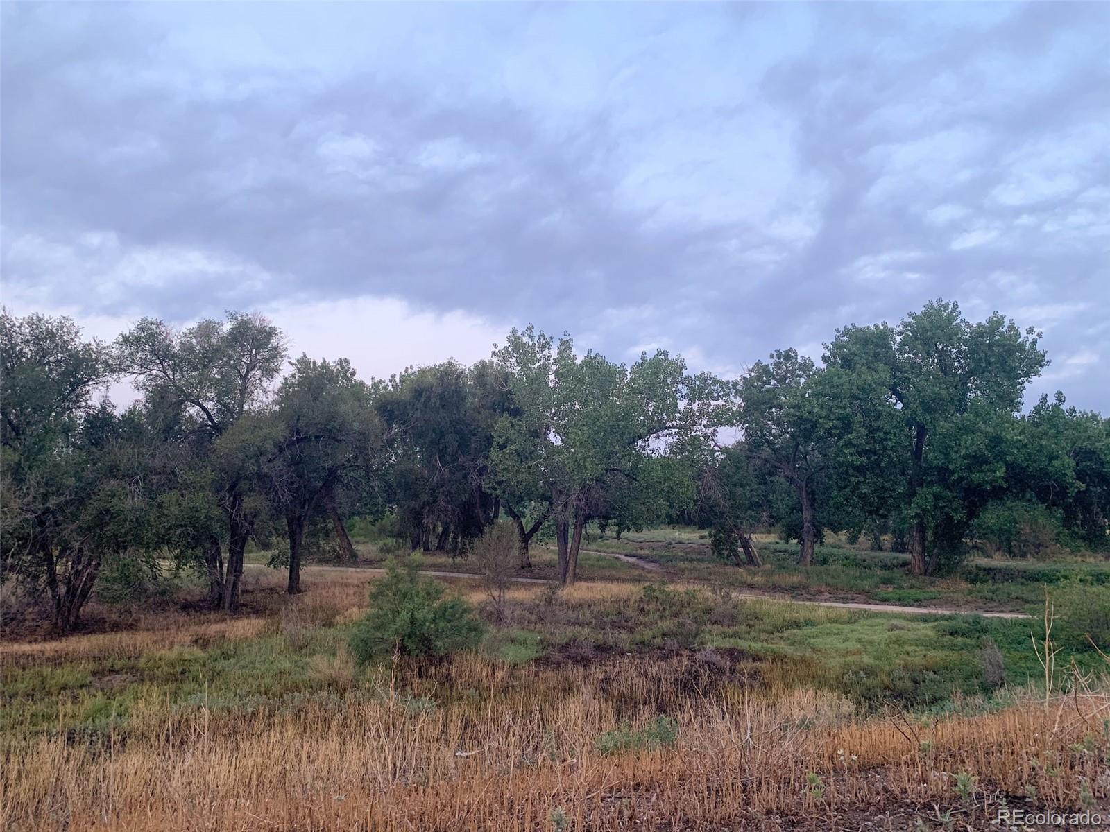 905 Damson Street Pueblo CO 81001