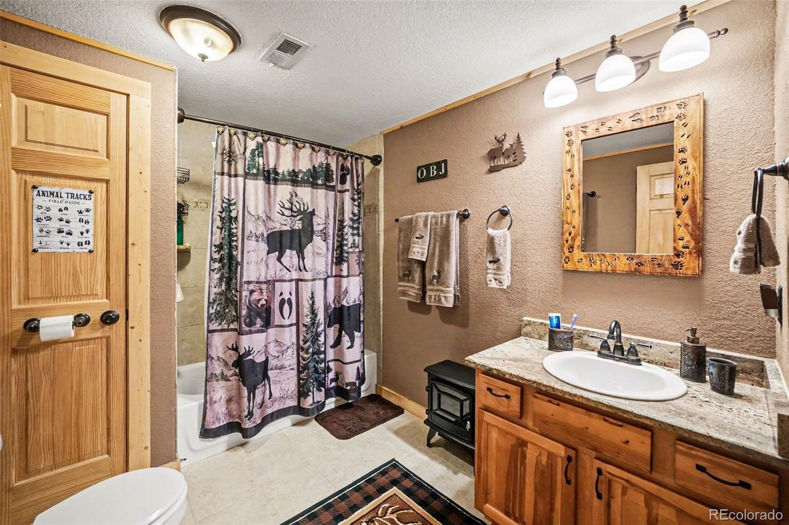 28 Juniper Way Bailey CO 80421