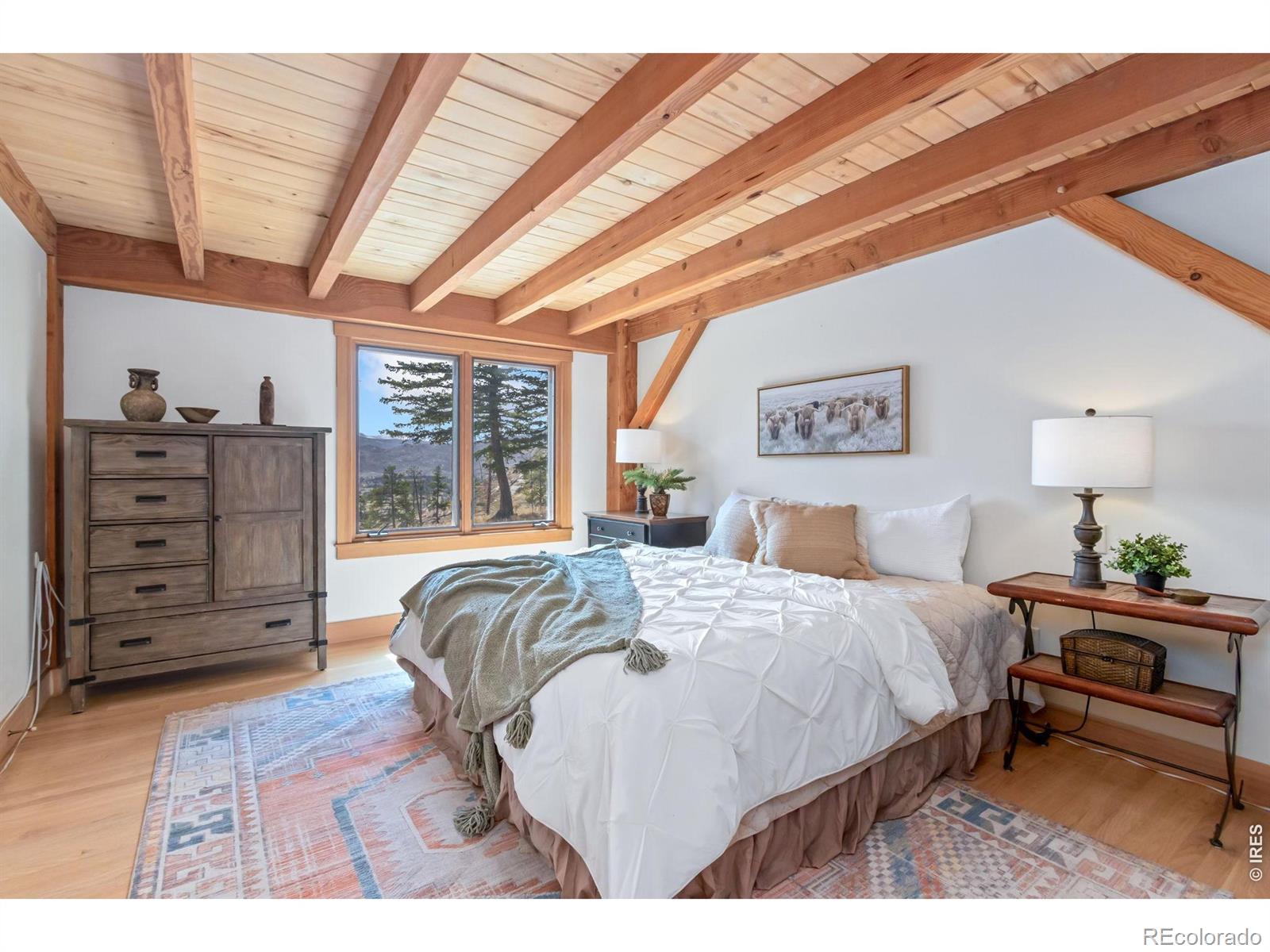 520 Isaac Lane Bellvue CO 80512