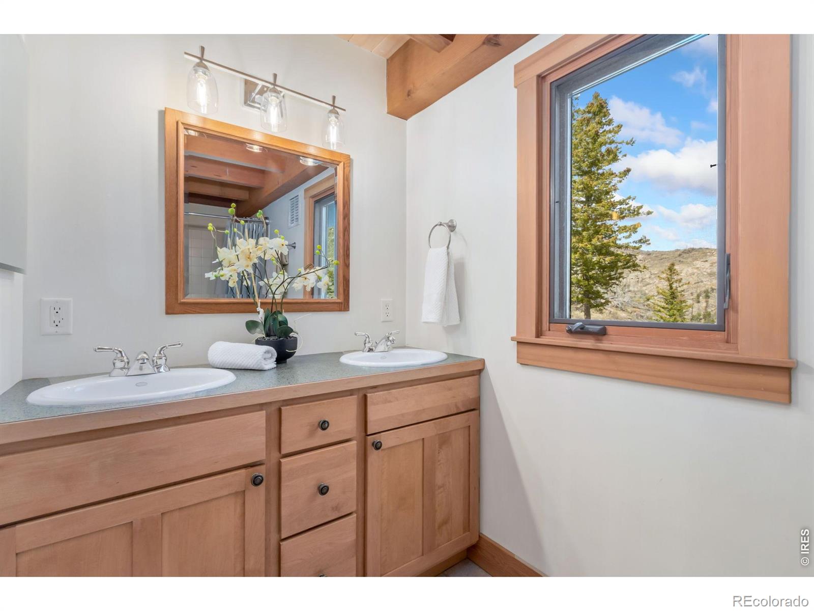 520 Isaac Lane Bellvue CO 80512