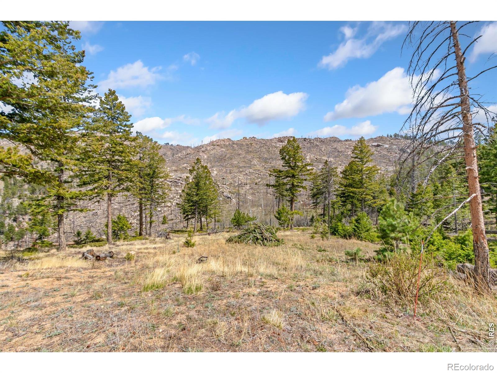 520 Isaac Lane Bellvue CO 80512