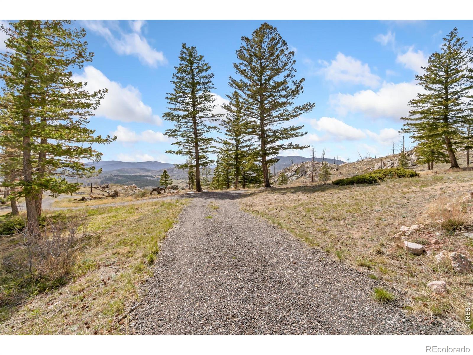 520 Isaac Lane Bellvue CO 80512