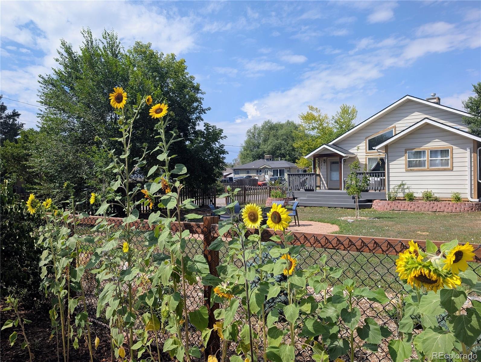 221 Jay Street Lakewood CO 80226