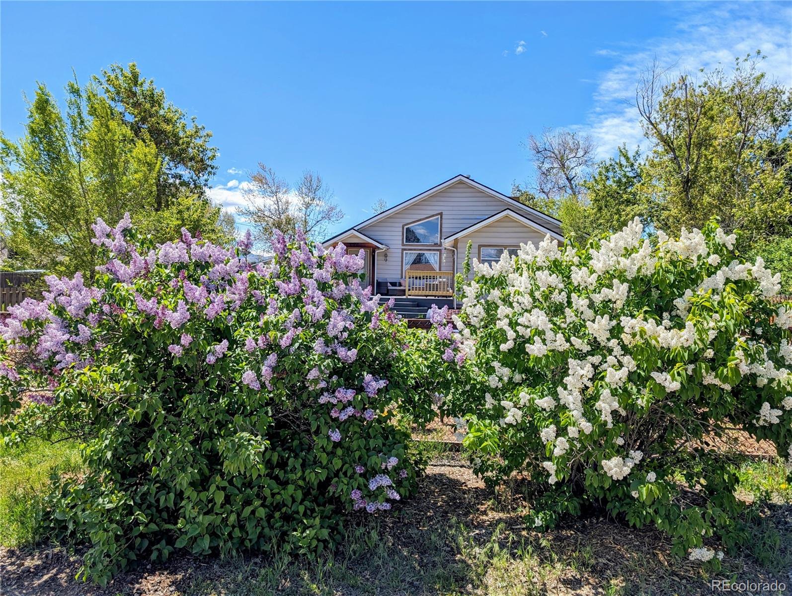 221 Jay Street Lakewood CO 80226