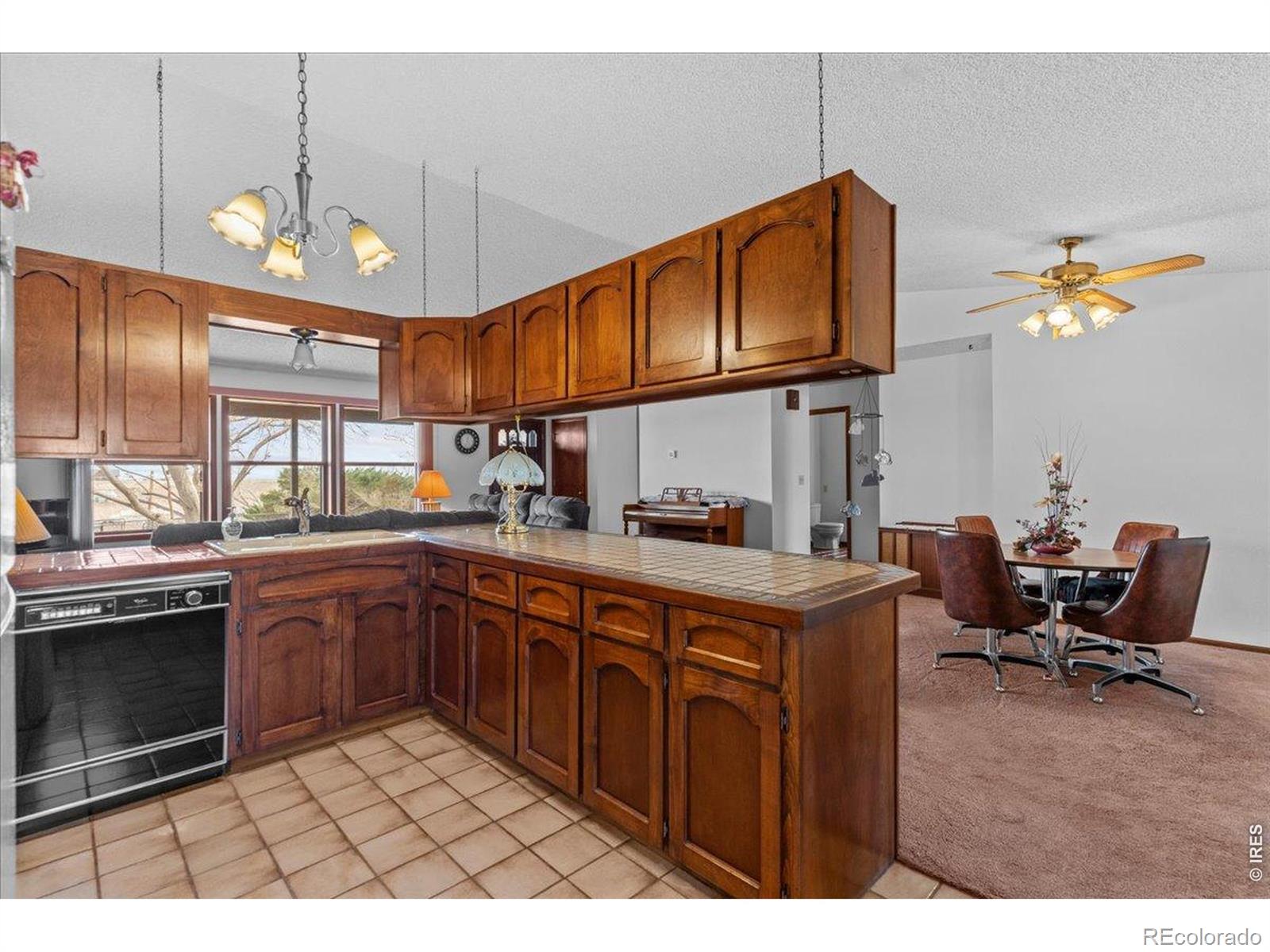 613 Colt Drive Loveland CO 80537