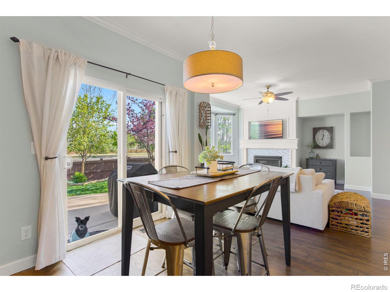 6386 Mayfair Avenue Timnath CO 80547
