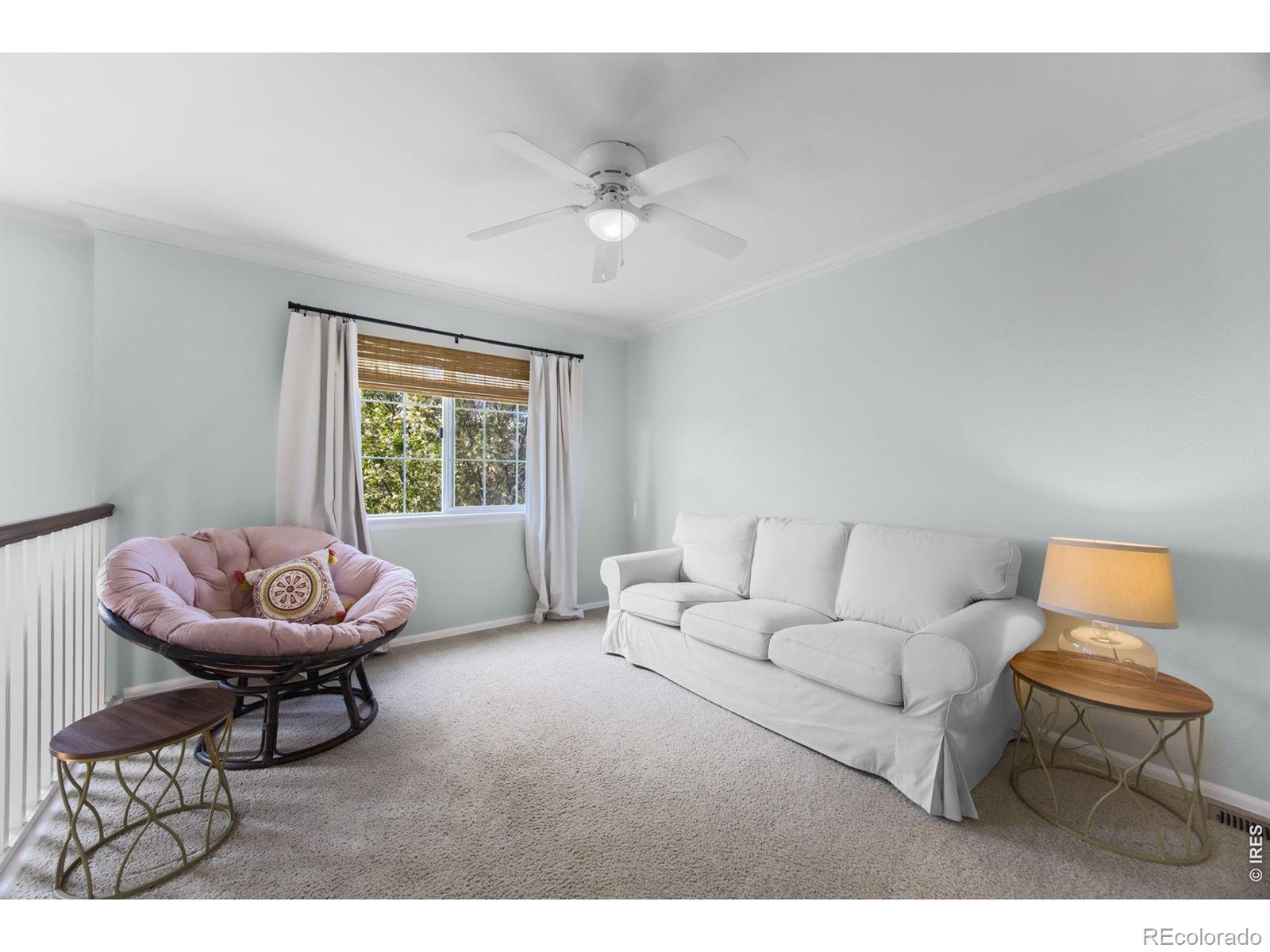 6386 Mayfair Avenue Timnath CO 80547