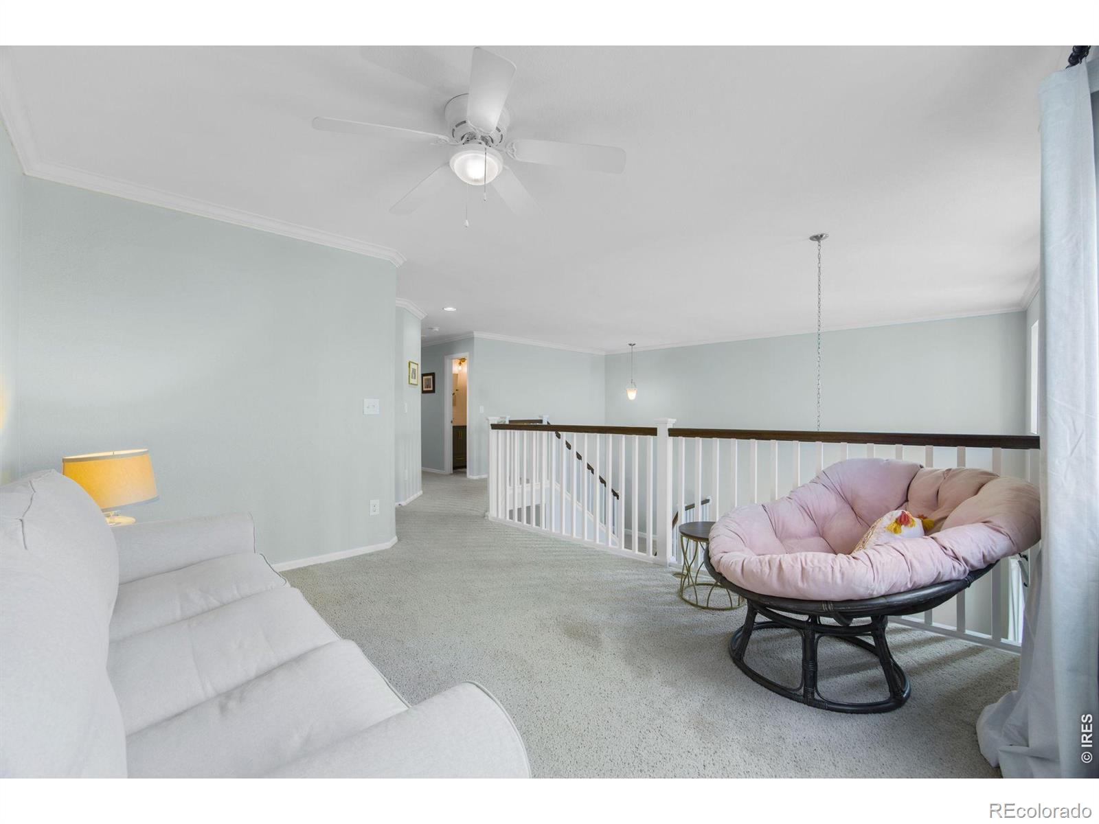 6386 Mayfair Avenue Timnath CO 80547