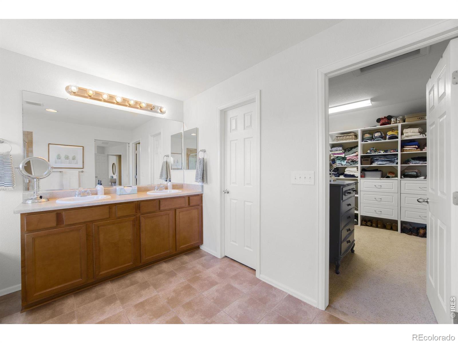 6386 Mayfair Avenue Timnath CO 80547