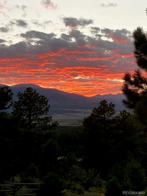 2613 Pheasant Loop Westcliffe CO 81252