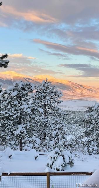 2613 Pheasant Loop Westcliffe CO 81252