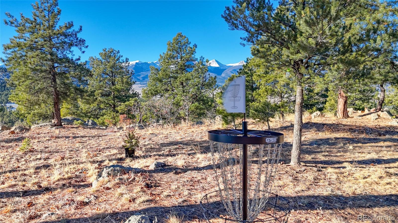 2613 Pheasant Loop Westcliffe CO 81252