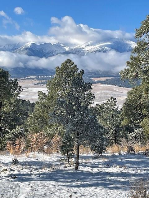 2613 Pheasant Loop Westcliffe CO 81252