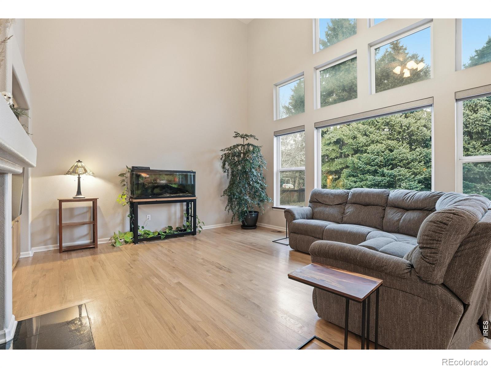 3908 Grand Canyon Street Fort Collins CO 80525