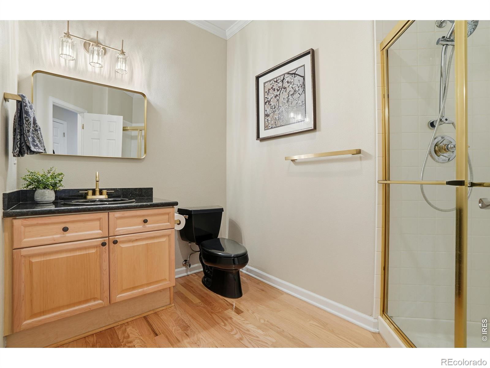 3908 Grand Canyon Street Fort Collins CO 80525