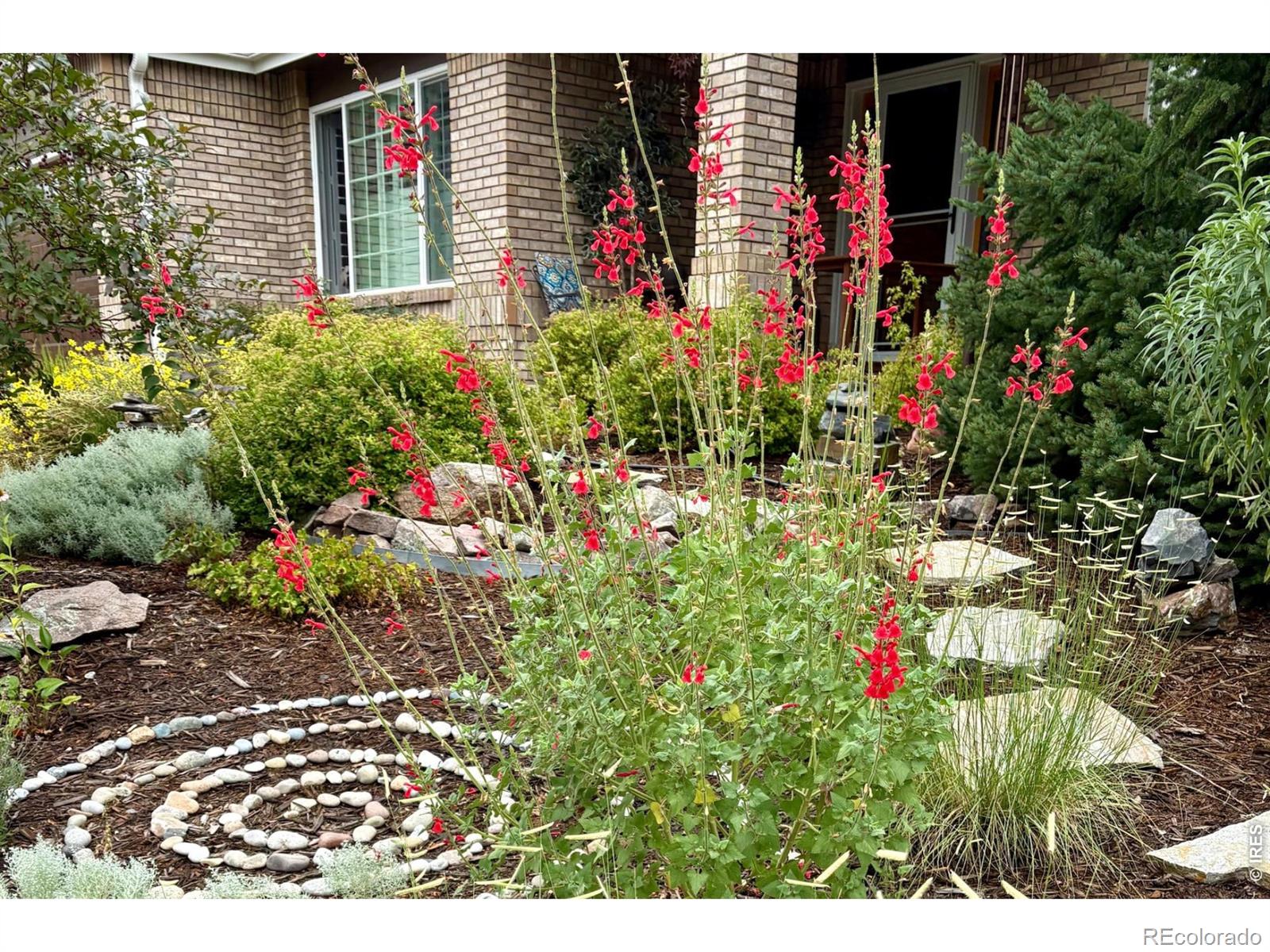 3908 Grand Canyon Street Fort Collins CO 80525