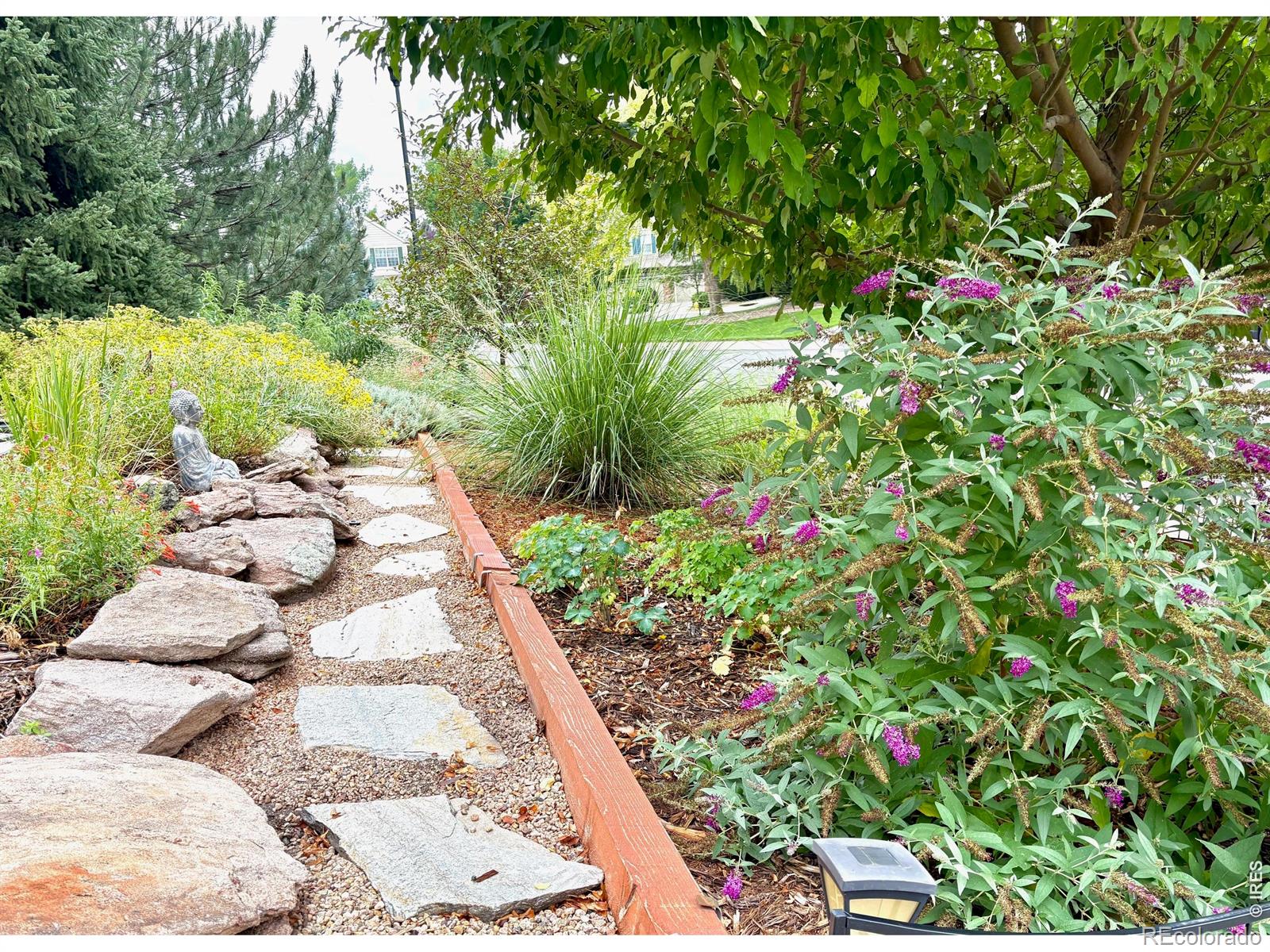 3908 Grand Canyon Street Fort Collins CO 80525