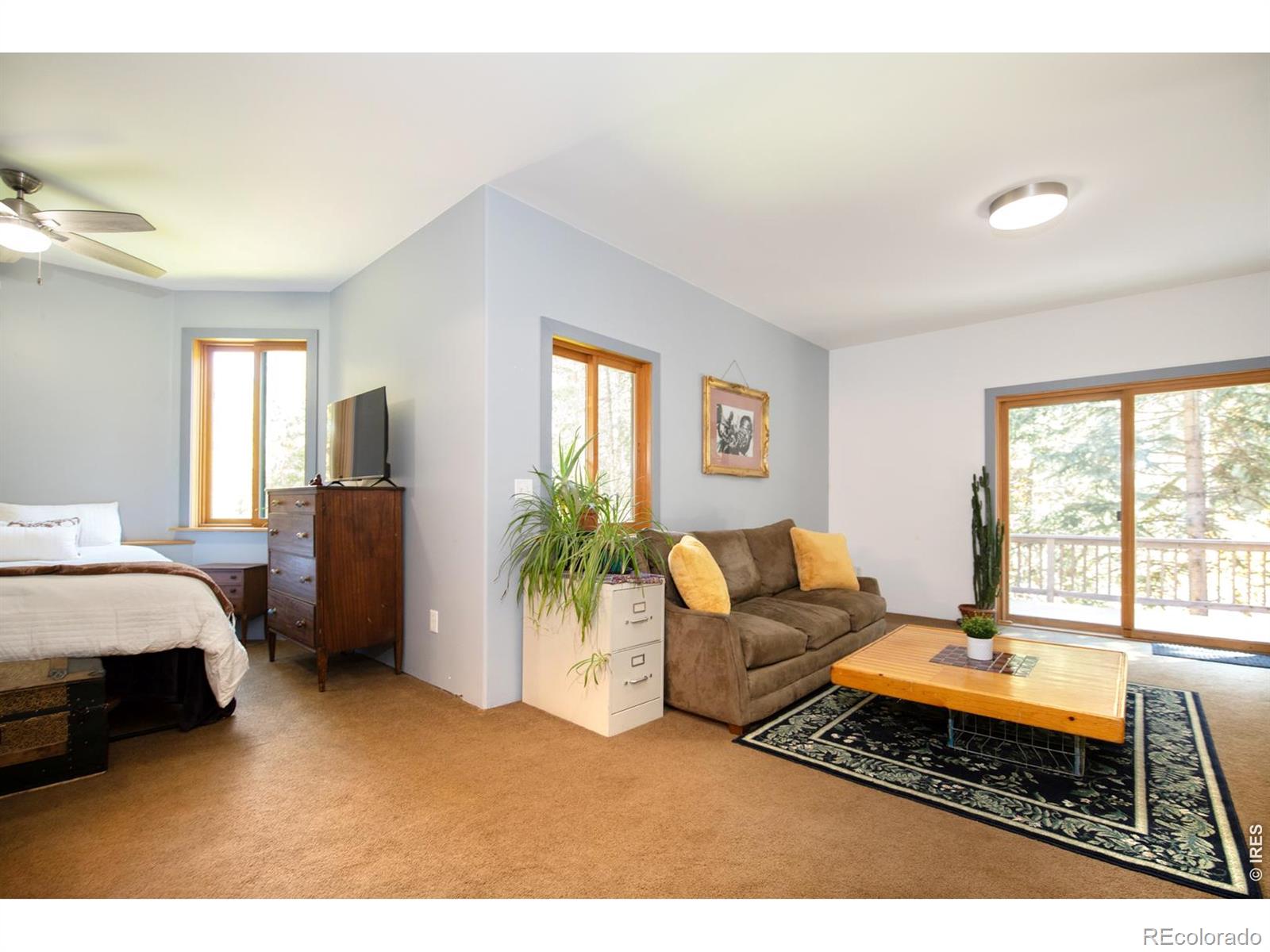 3727 Gamble Gulch Road Black Hawk CO 80422