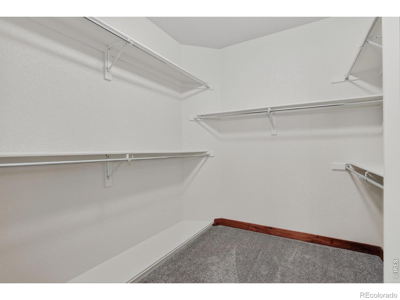 4710 Fruita Drive Loveland CO 80538