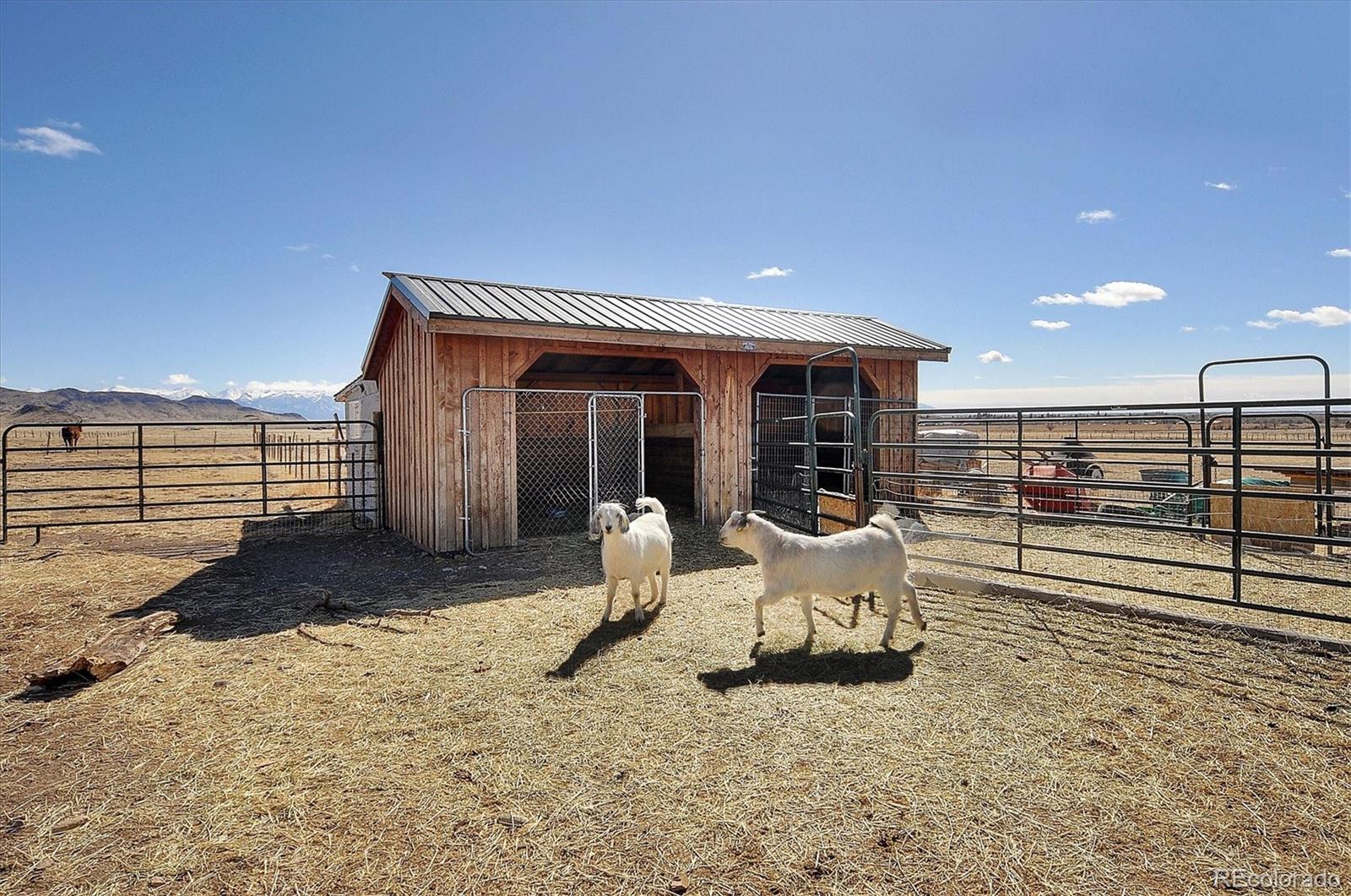 23802 Cr-46aa Saguache CO 81149