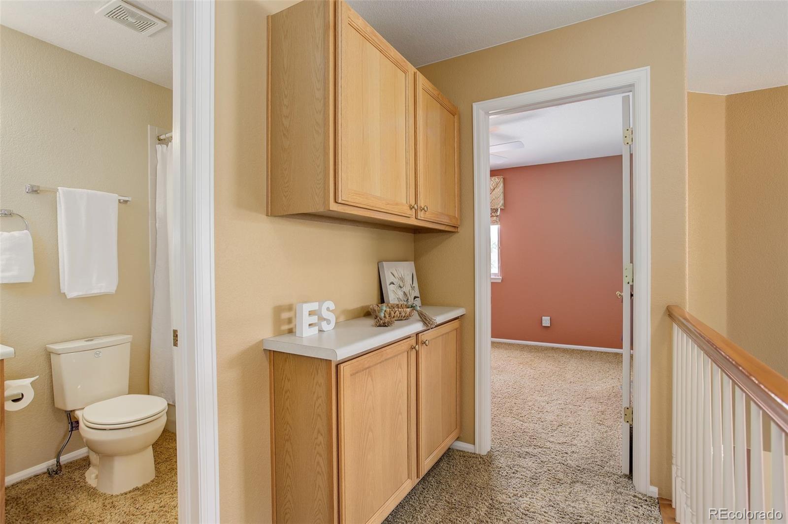 1446 Braewood Avenue Highlands Ranch CO 80129