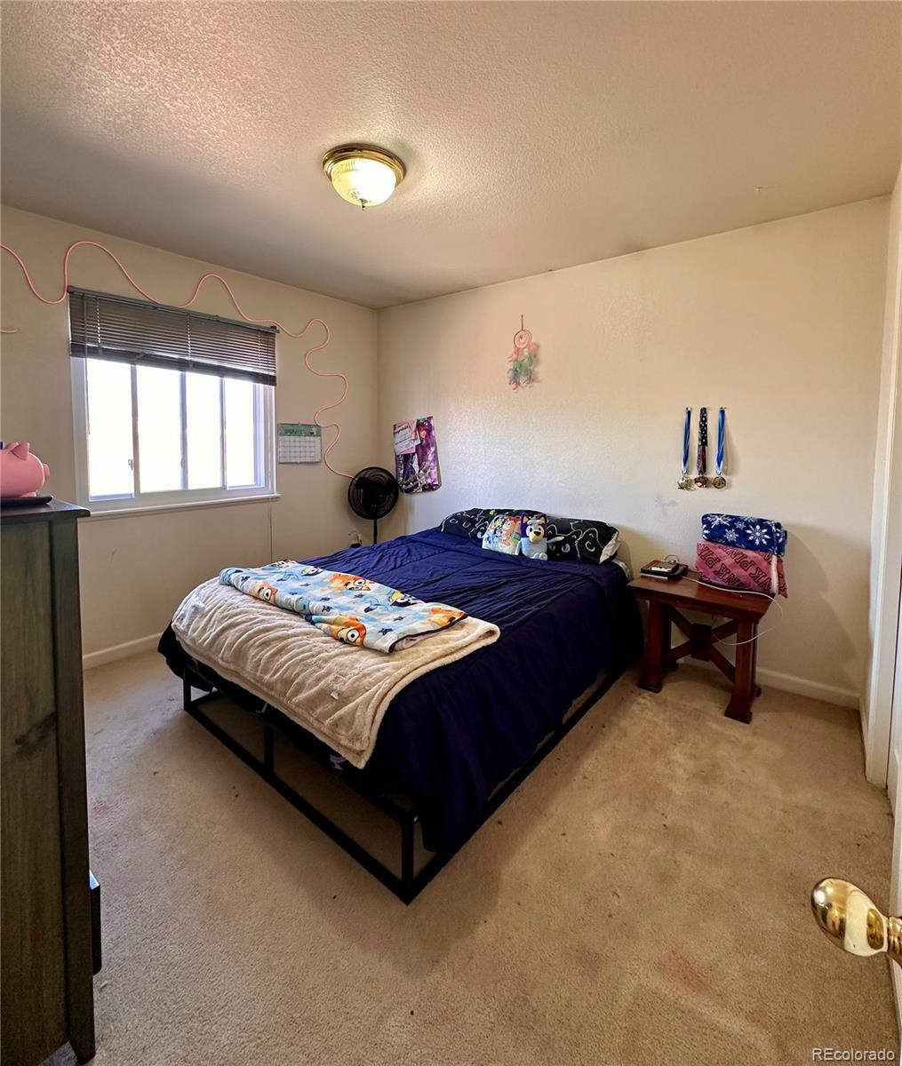4751 Kings Canyon Drive Greeley CO 80634