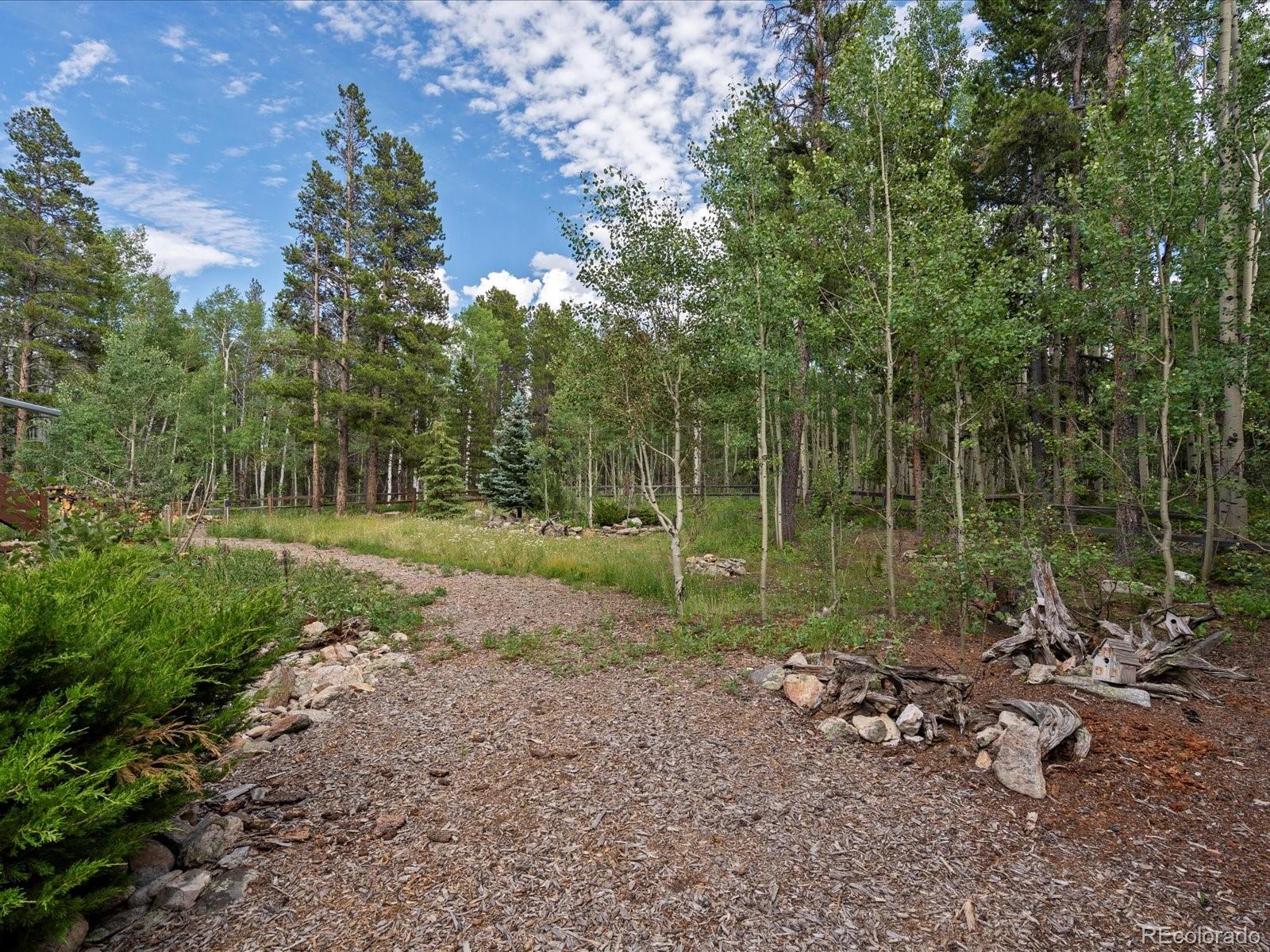 591 Creekwood Trail Black Hawk CO 80422