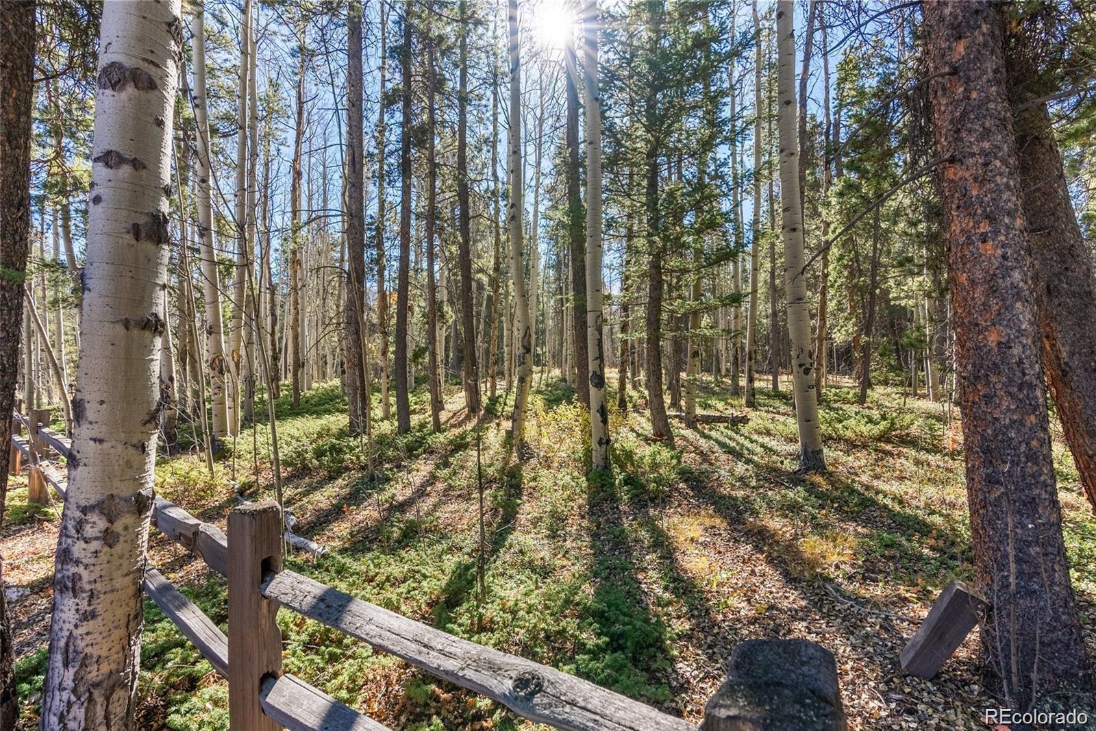 591 Creekwood Trail Black Hawk CO 80422