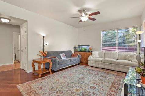 2024 Sandhurst Drive Castle Rock CO 80104