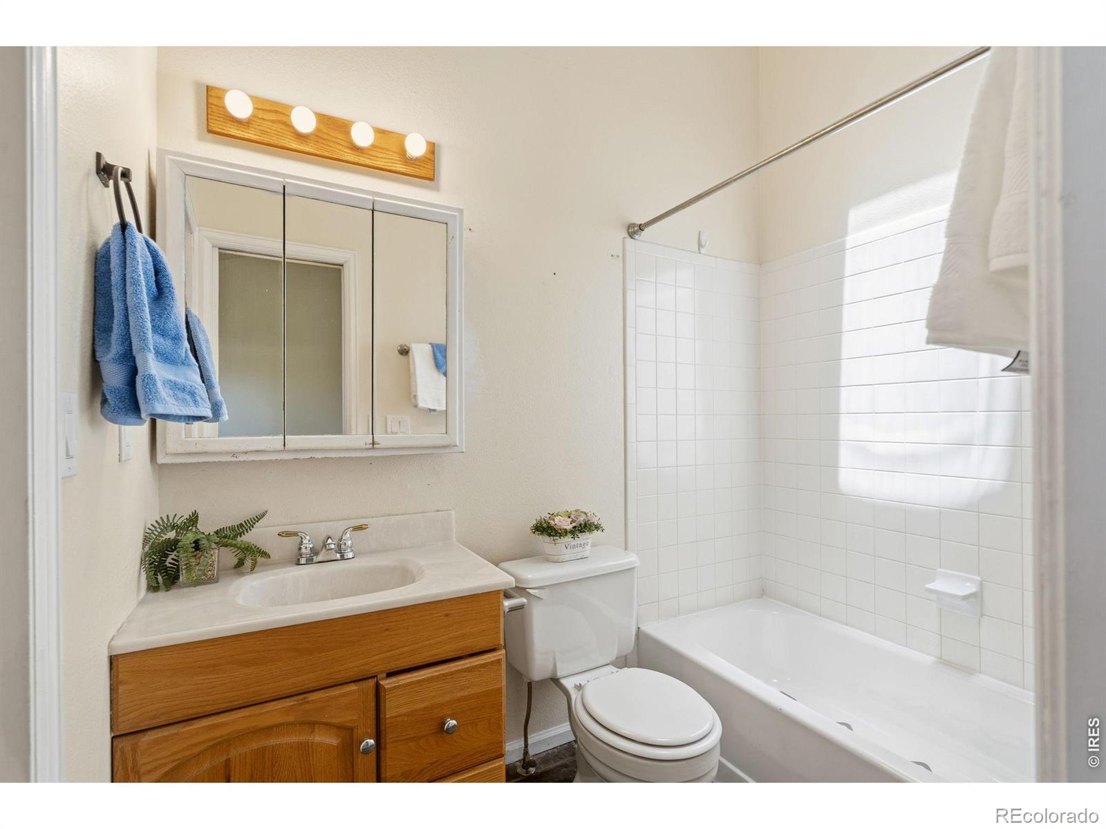 2828 Silverplume Drive Fort Collins CO 80526