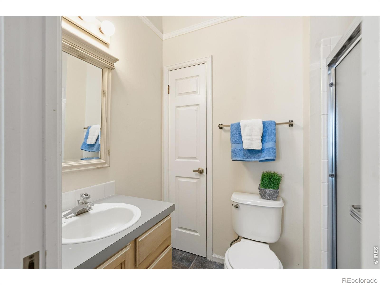 2828 Silverplume Drive Fort Collins CO 80526