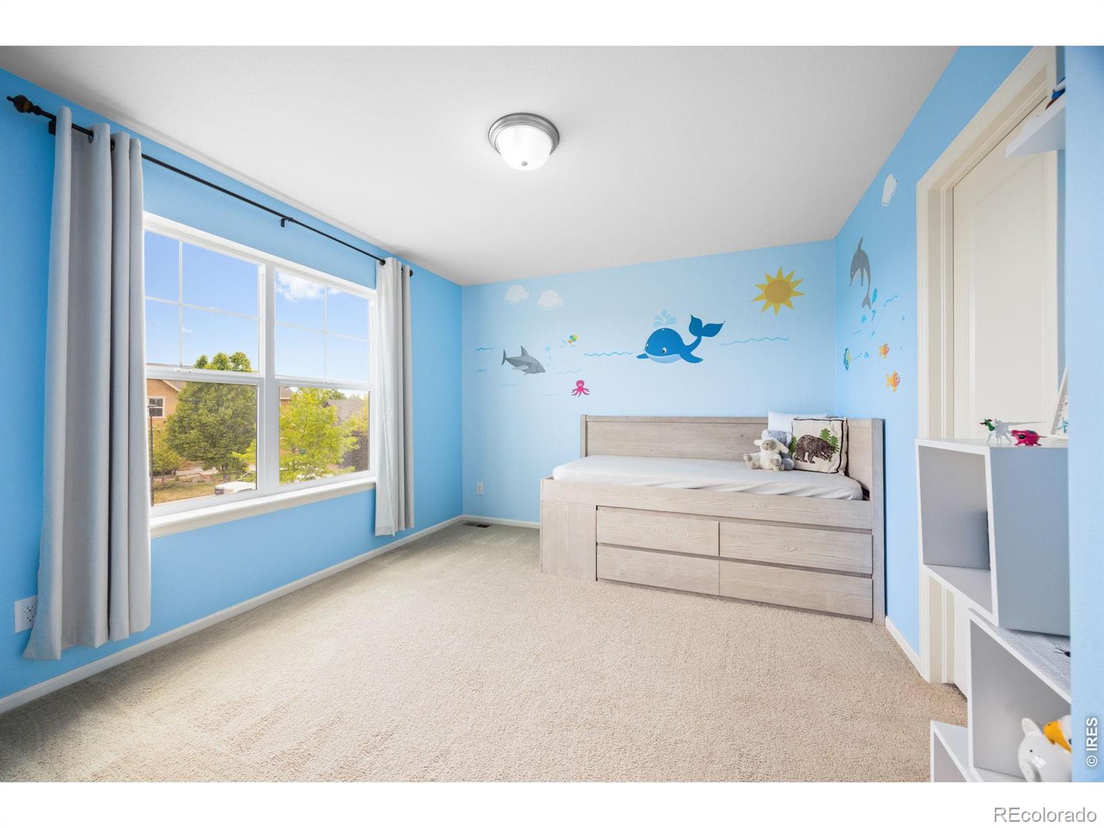 5752 Northern Lights Drive Fort Collins CO 80528