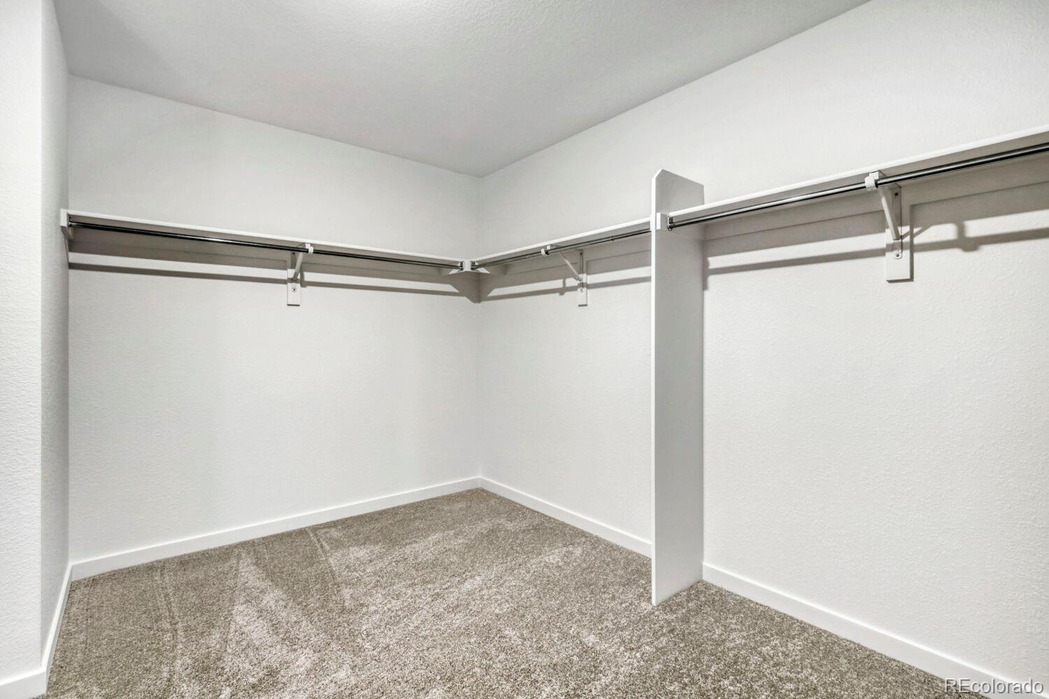 6175 Drum Place Loveland CO 80538