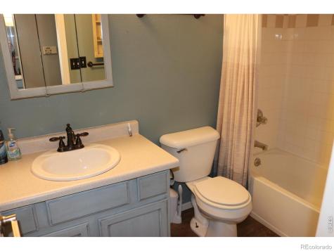1005 Glacier Court Windsor CO 80550