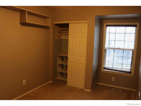 1005 Glacier Court Windsor CO 80550