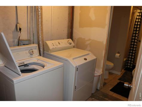 1005 Glacier Court Windsor CO 80550