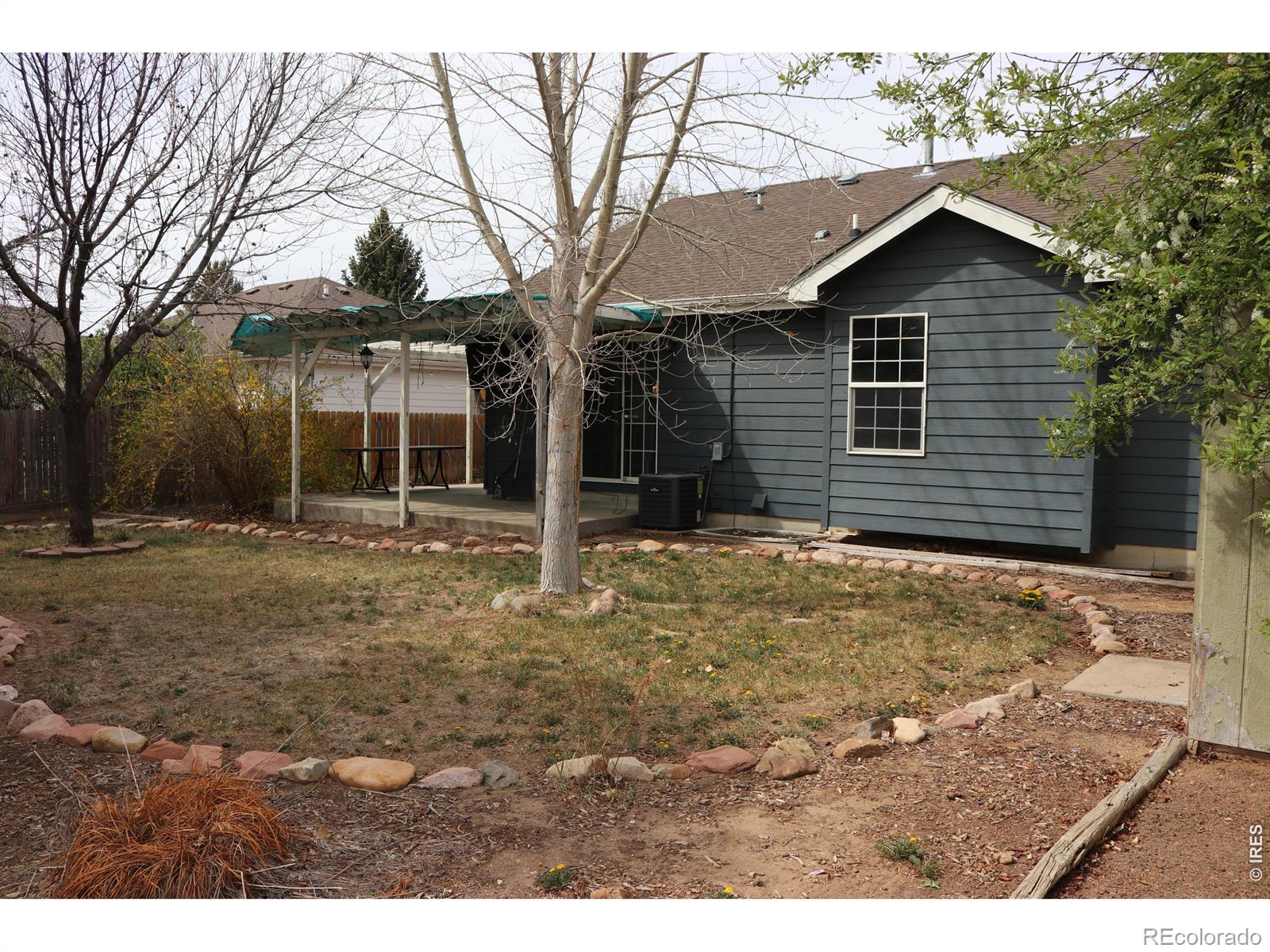 1005 Glacier Court Windsor CO 80550