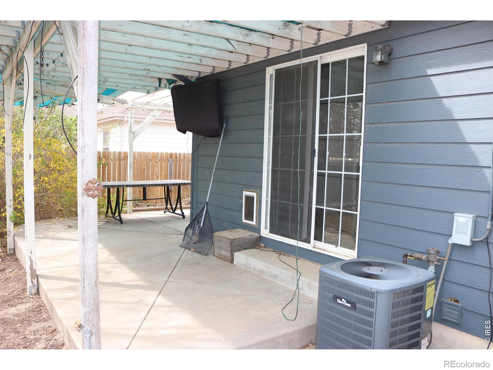 1005 Glacier Court Windsor CO 80550
