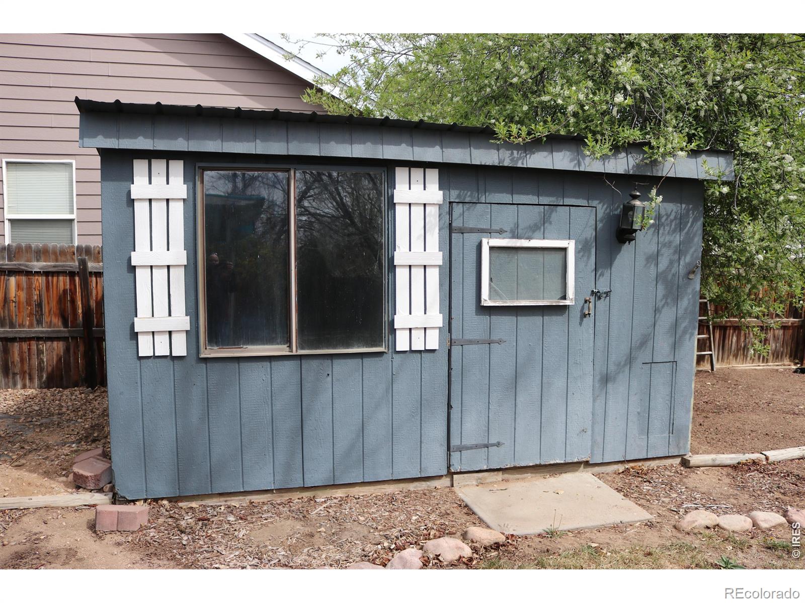 1005 Glacier Court Windsor CO 80550