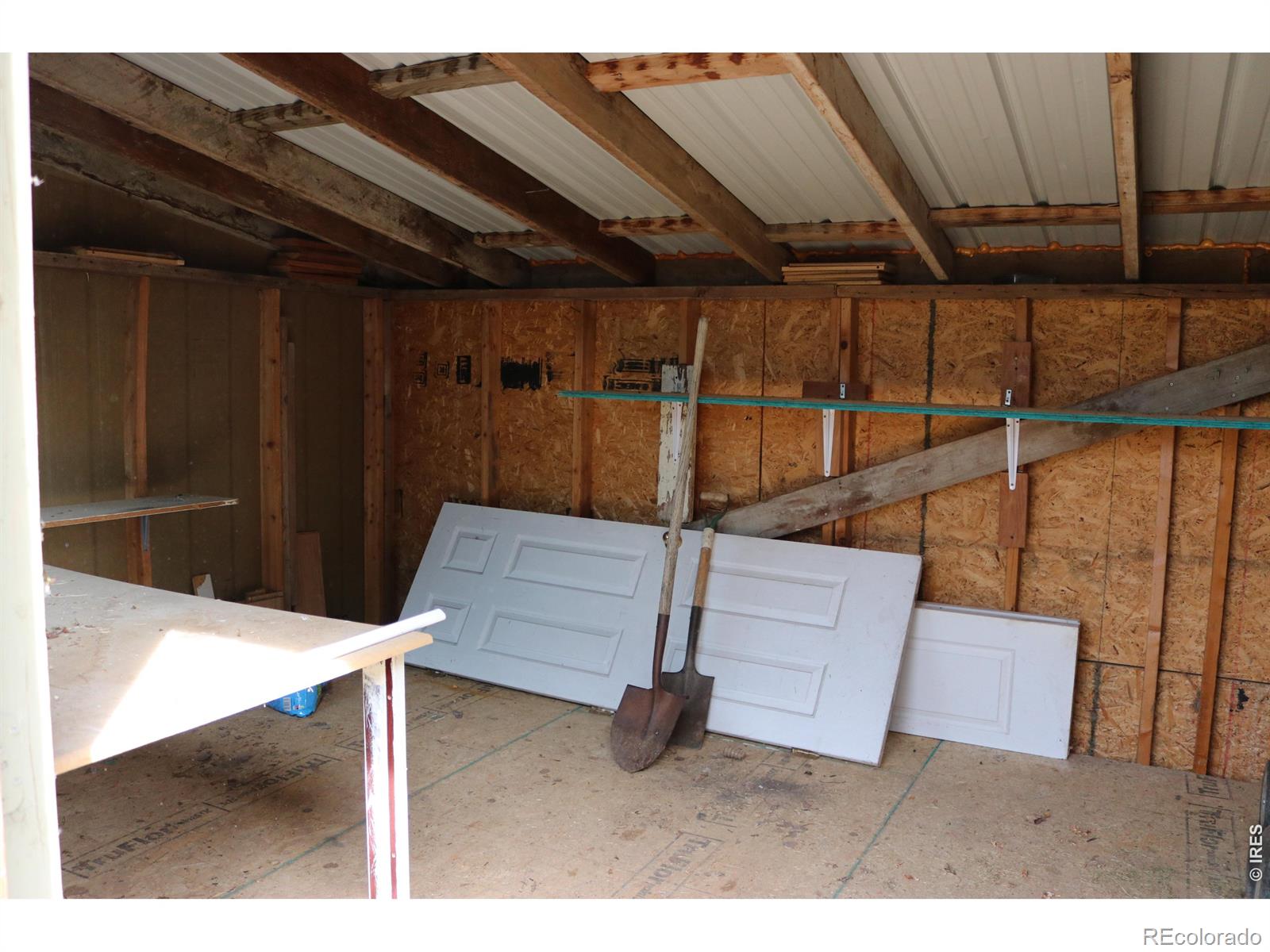 1005 Glacier Court Windsor CO 80550