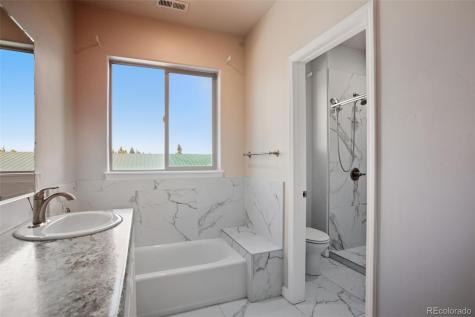 455 Quartz Drive Twin Lakes CO 81251