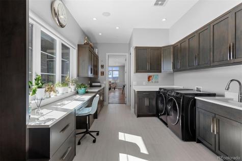 7436 Sapphire Pointe Boulevard Castle Rock CO 80108