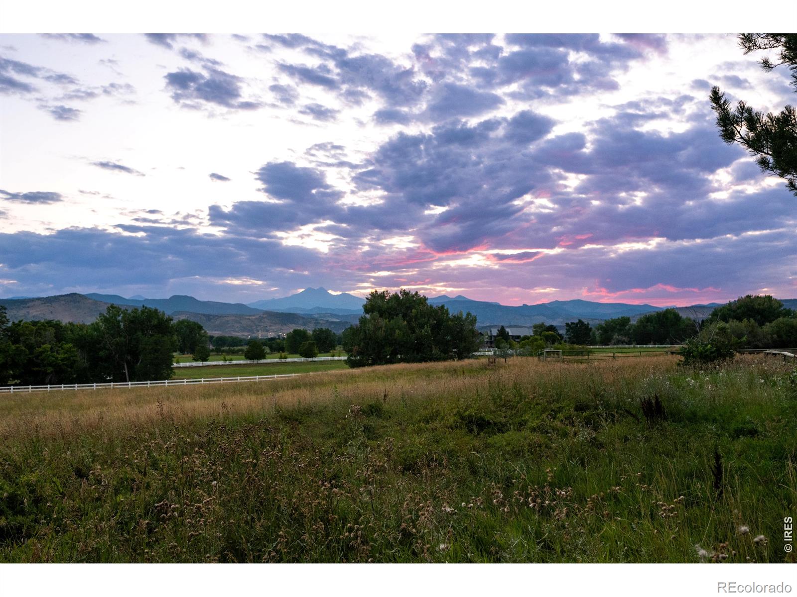 7009 Rozena Drive Longmont CO 80503