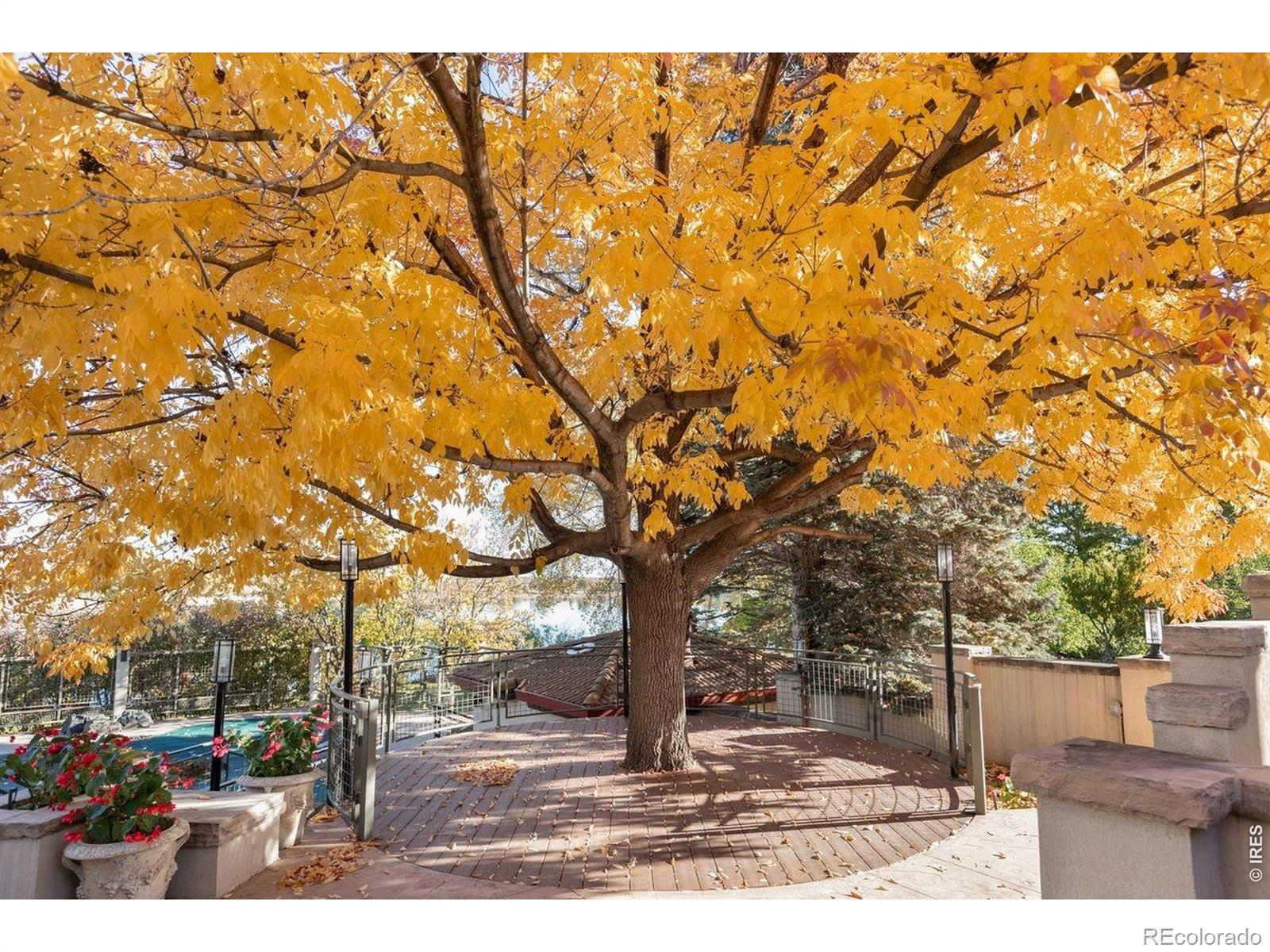 7009 Rozena Drive Longmont CO 80503