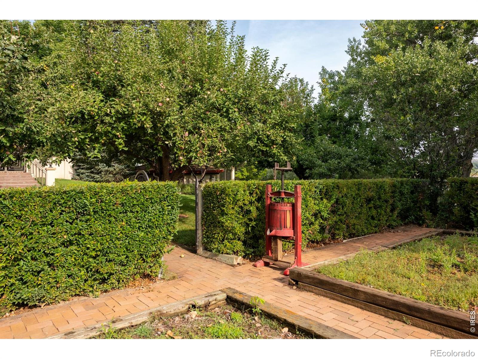 7009 Rozena Drive Longmont CO 80503