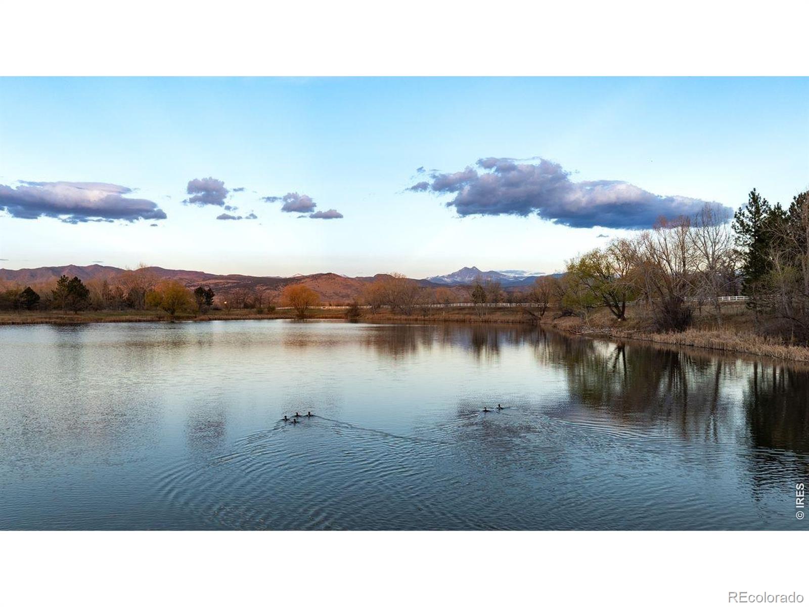 7009 Rozena Drive Longmont CO 80503