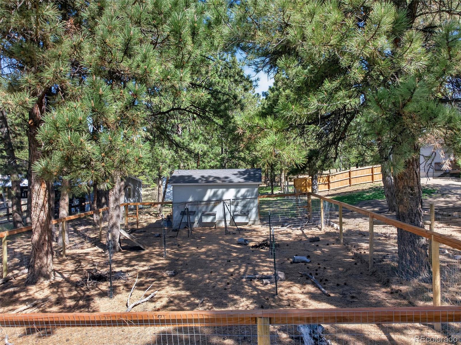9364 Elkmont Court Peyton CO 80831